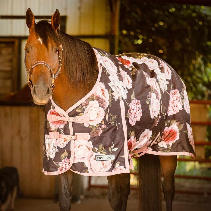 Jeffers Expression Rose Garden Design offre protection hivernale élégante et durable.