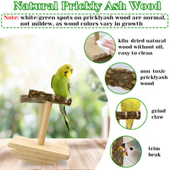 Jevnd jouet d'entraînement — enrichissement pour perroquets et conures, stimulation mentale.