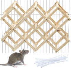 Jevnd jouet escalier grimpant pour rat en bois naturel, favorise l exercice et l exploration.