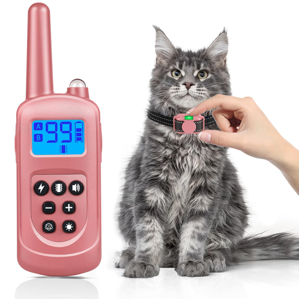 Collier Jeyihka pour chat ultra mini porté confortablement.