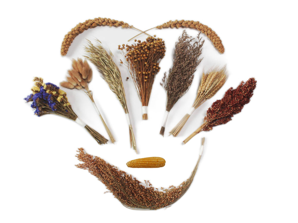 JFWOD litière hamster fleurs herbes séchées pour le confort
