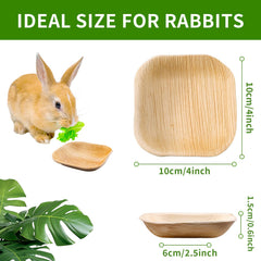 Jiaxix bol palme carré 4 pouces pour hamster, écologie et facilité d’usage.