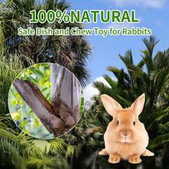 Bol Jiaxix sans substances et non toxique pour alimentation