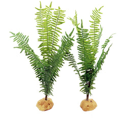 JIHAQUA base résine stabilise la plante dans le terrarium.