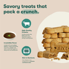 Biscuit Jinx citrouille chia pomme myrtille - teinte naturelle et nutritive.