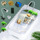 JIURUN kit tortue pompe-filtre en fonctionnement pour eau claire