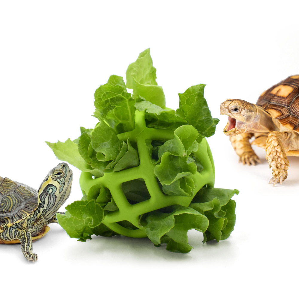 Balle d’alimentation JJMOLLE en action dans l’aquarium, stimule l’activité.