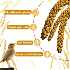 Jmxu's Spray Millet, source de protéines pour les oiseaux, en complément occasionnel.