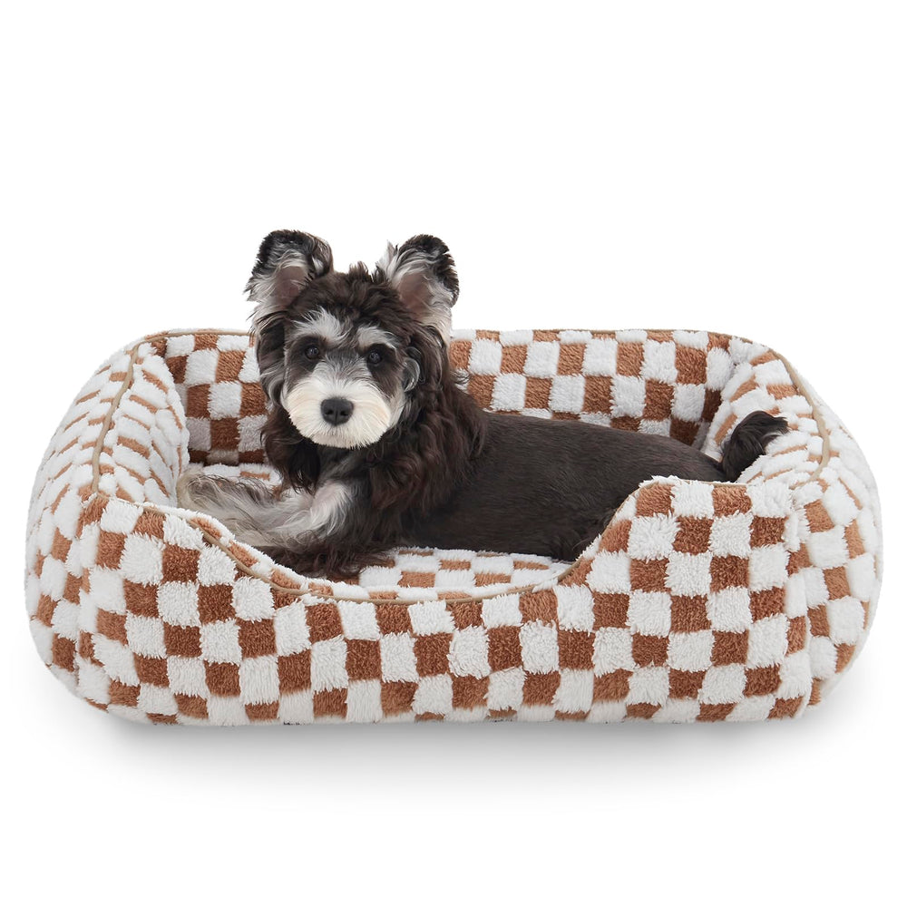 JOEJOY lit chien petit avec plaid doux pour le confort quotidien