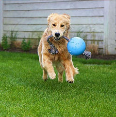 Jolly Pets Romp-n-Roll: corde-poignée adhérente pour lancer et tirer.