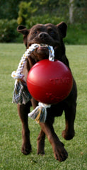 Jolly Pets Romp-n-Roll fabriqué aux États‑Unis, durable et soutient les refuges pour chiens.