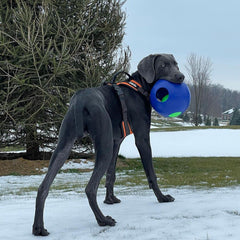Jolly Pets Teaser Ball extérieur-griffable : prise en main facile.