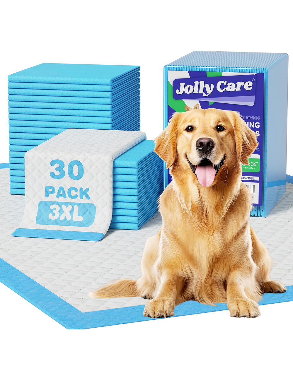 Jolly Care tapis-pipi XXXL 36 po x 36 po, grande surface idéale pour entraînement domestique.