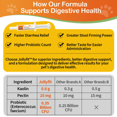 Jollyfit Enterococcus faecium pro biotique pour équilibre intestinal.