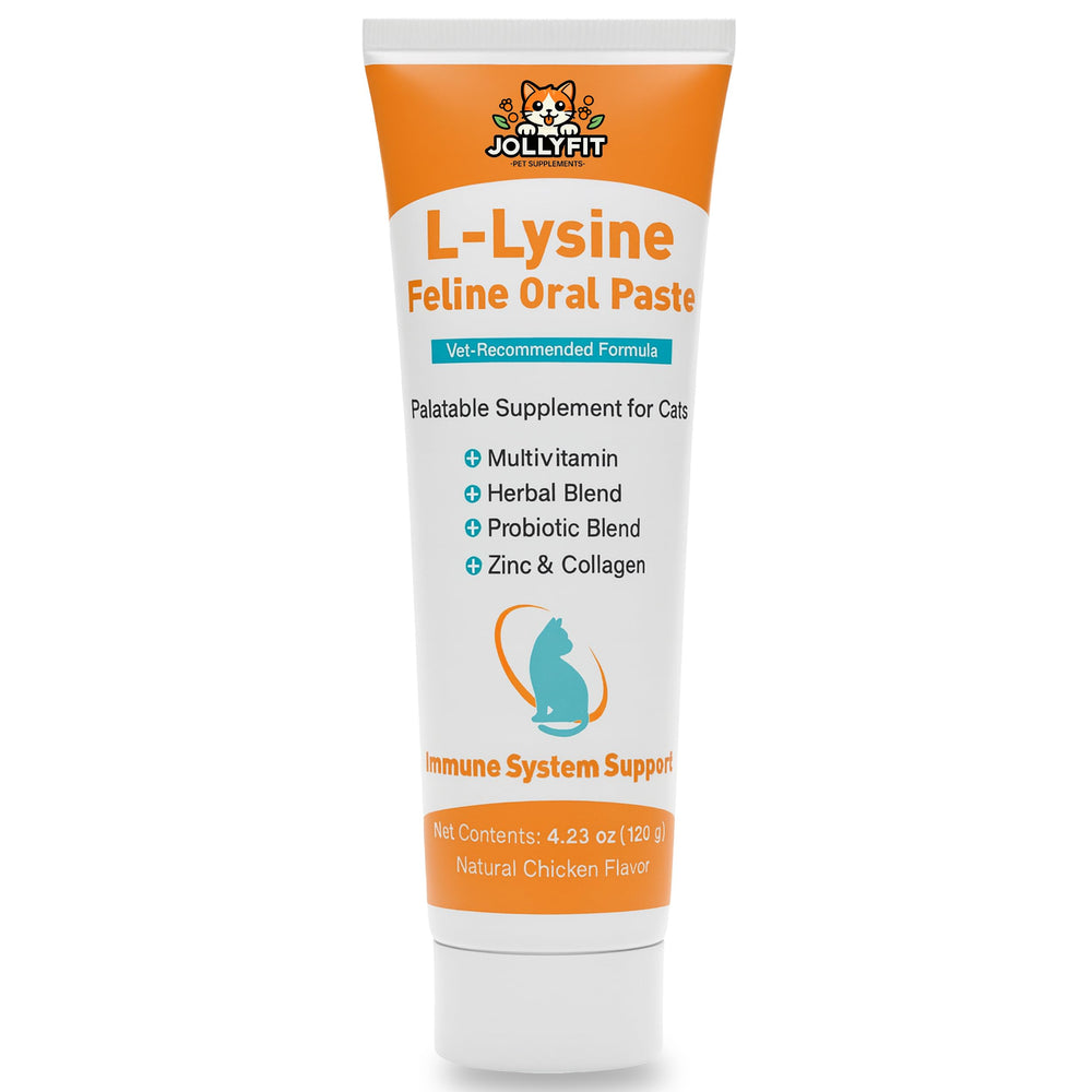 Jollyfit Pâte Lysine pour chat dans flacon, soutient l'immunité et la respiration.