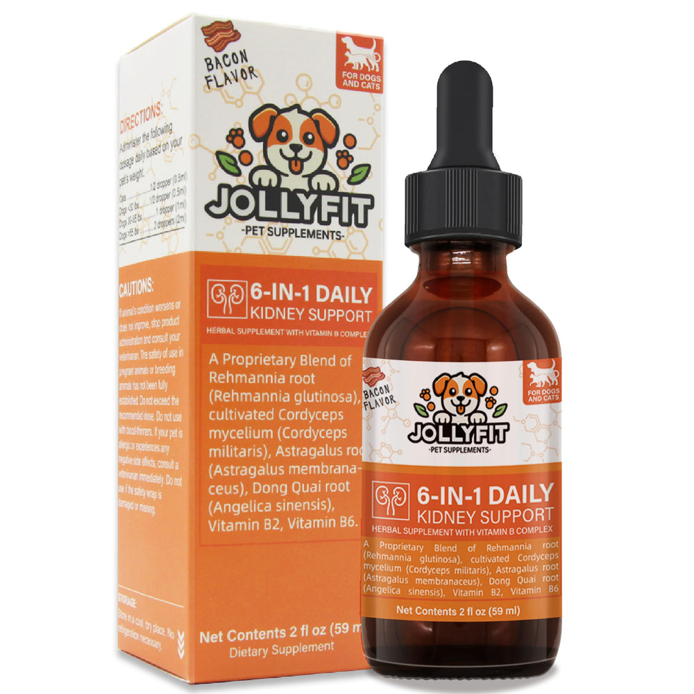 Soutien rénal Jollyfit en bouteille pour le bien-être quotidien.