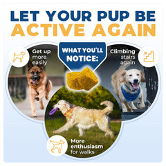Gommes Jope, bouchées savoureuses pour soutenir les articulations des chiens.