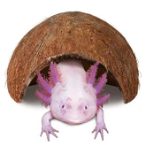 JOR Axolotl Cave : refuge privé en coco pour axolotl et confort aquatique