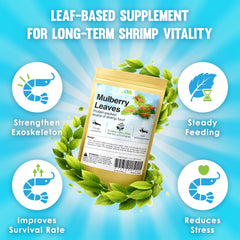 JOR Crevettes explorant les feuilles de mûrier, énergie et nutrition.