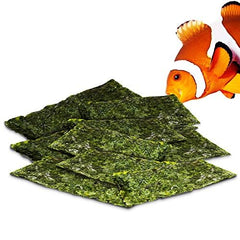 Feuilles d'algues sèches JOR en paquet de 20 pour poissons.