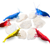 Pierre calcium JOR pour crabe ermite, refuge naturel et minéraux.
