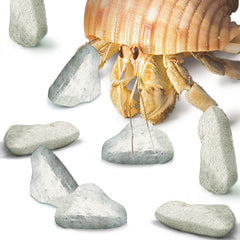 Pierre calcium JOR pour crevettes, roches blanches soutenant les couleurs.
