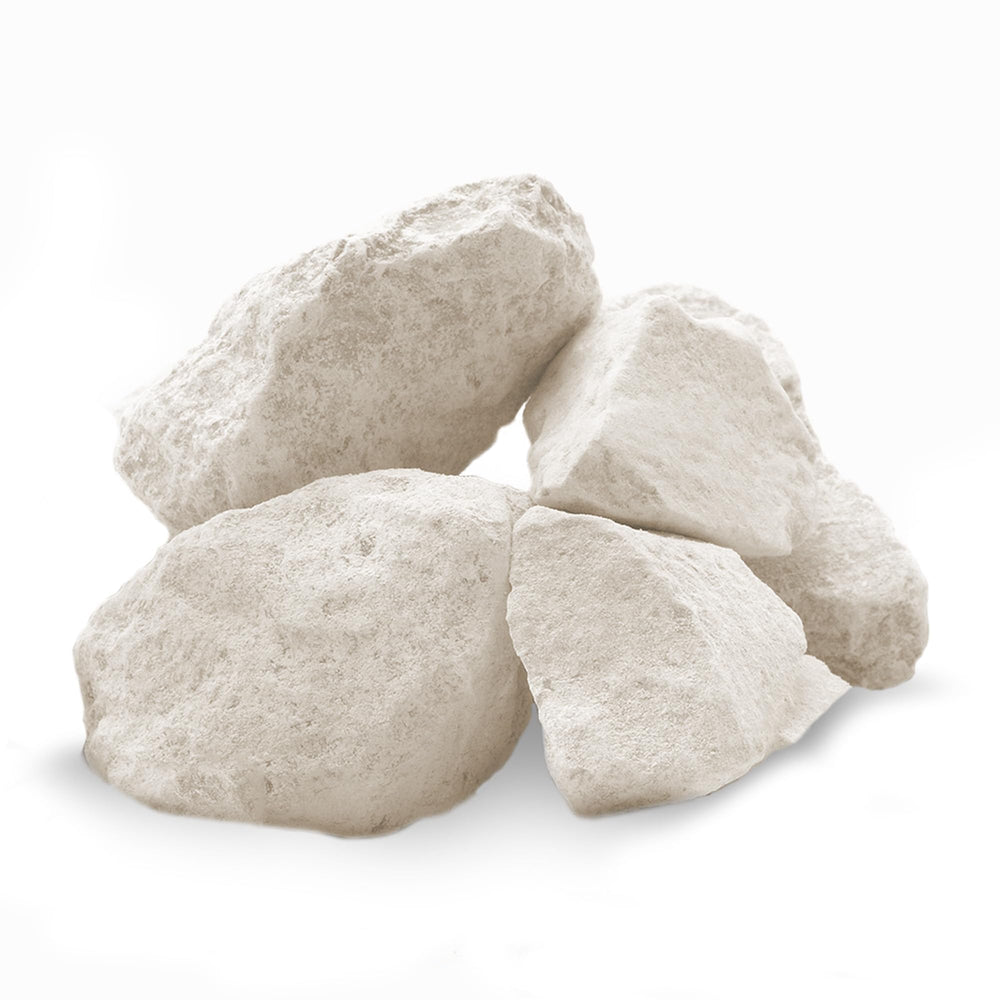 Pierre calcique JOR pour tortues, favorise croissance de la carapace et des os.