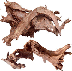 Jorewood driftwood: branche torsadée idéale pour un décor naturel et cachettes pour poissons.