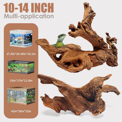 Jorewood driftwood: surface de grimpe pour reptiles, favorisant l'exploration en terrarium.