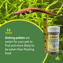 Josh's Frogs granulés coulants, alimentation pratique pour animaux aquatiques.