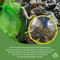 Josh's Frogs BioBedding tropical – plantes vivantes s'épanouissant dans le substrat