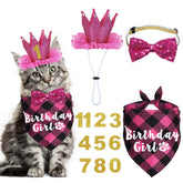 Bandana anniversaire JOTFA pour chat rose, confort optimal pour photos festives.