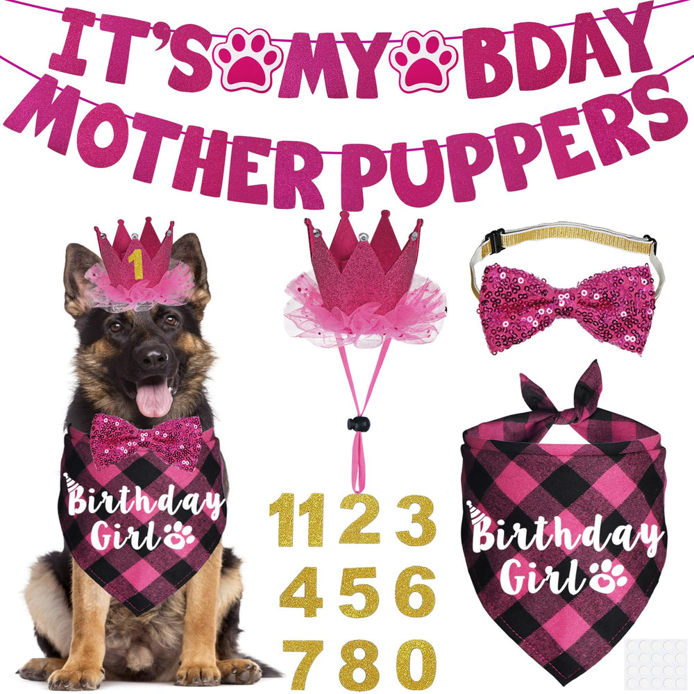 Bandana anniversaire JOTFA pour chienne, parfait pour des photos festives.