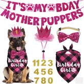 Bandana anniversaire JOTFA pour chienne, parfait pour des photos festives.