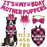 Affiche JOTFA bannière anniversaire chien rose, idéale pour les photos festives.