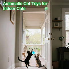Cordons élastiques réglables pour Cat Toys Interactifs, jeu sûr
