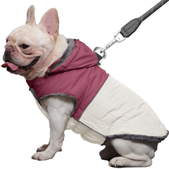 JoyDaog manteau pour chien avec capuche détachable, idéal lors des sorties par temps froid.