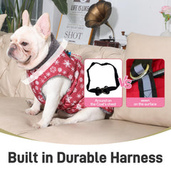 JoyDaog manteau chien doublure polaire chaude pour hiver.