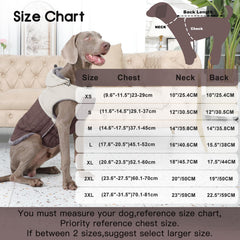 JoyDaog manteau chien avec doublure polaire grise, chaleur douce pour les journées froides.