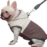 JoyDaog manteau chien avec harnais et capuche amovible, pratique pour les balades hivernales.