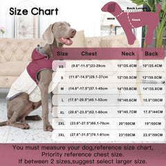 JoyDaog manteau chien harnais intégré, pratique et sécurisant en promenade.