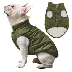 JoyDaog manteau chien vert, vue dorsale montrant protection contre le vent.