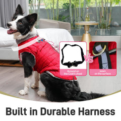 JoyDaog veste impermeable rouge XL pour chien, pratique et confortable.