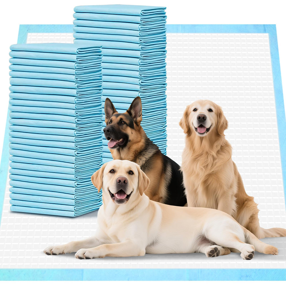 Joyeux Daily Absorption Ultra: surface épongée et 6 couches pour garder le sol sec