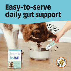 JoyFull Probiotiques chien – saveur bouillon de boeuf attirante pour les repas.