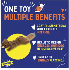 Joyhound Flattie Écureuil, compagnon apaisant pour les nuits calmes.