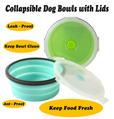 Ensemble Joyinjojo de bols pour chien, durable et léger