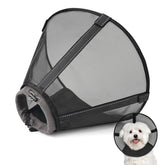 Joypig collier conique respirant pour chien protège pendant la récupération