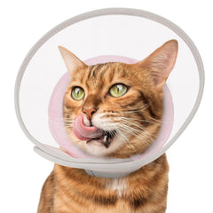 Joypig cone chat doux en maille rose, prévention du léchage après chirurgie.