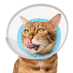 Joypig cone chat maillage doux impermeable, confort et recuperation sans stress.